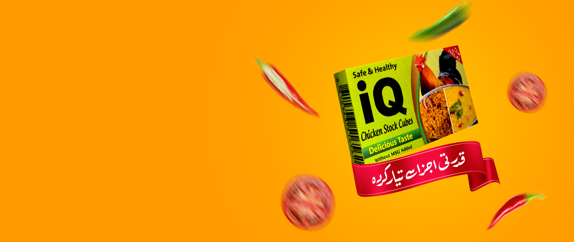 iQ Foods Branding Design
